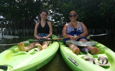 Things to Do in Orlando & Florida Beyond the Theme Parks