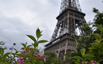 Paris Travel Guide: Where to Eat, Explore & Experience